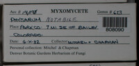 Image Associated With the Occurence